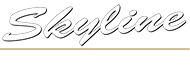 Skyline Electrical Contracting